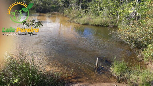 Imagem 4 de 9 de Fazenda  Venda Em Breu Branco - Pa - 2662 Hectares (dupla Aptidão) - 1854