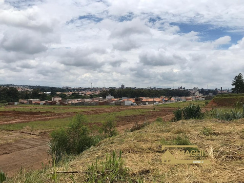 Imagem 8 de 30 de Jardim Novo São Pedro Terrenos A Venda Salto Com 176 M² - Te00025 - 34841753