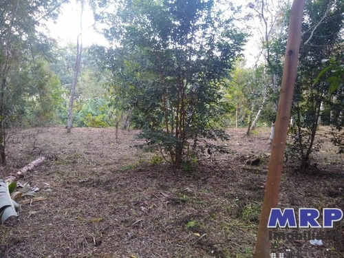Imagem 8 de 12 de Terreno Em Ubatuba, Com Natureza Exuberante, Acesso Ao Rio, 1.500m², Bairro Residencial. - Te00142 - 34370754