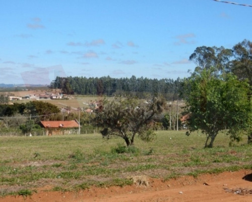 Imagem 15 de 17 de Terreno - 1623 - 32401960