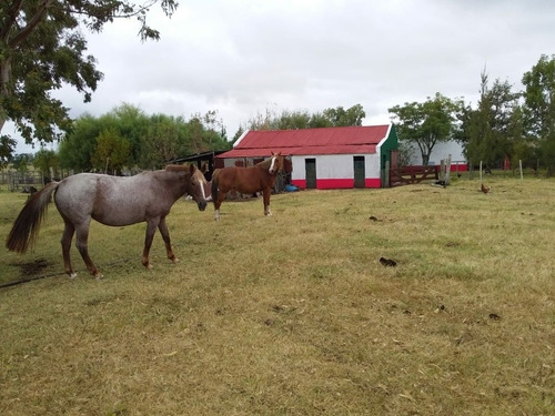 Hermoso Campito,todas Las Comodidades