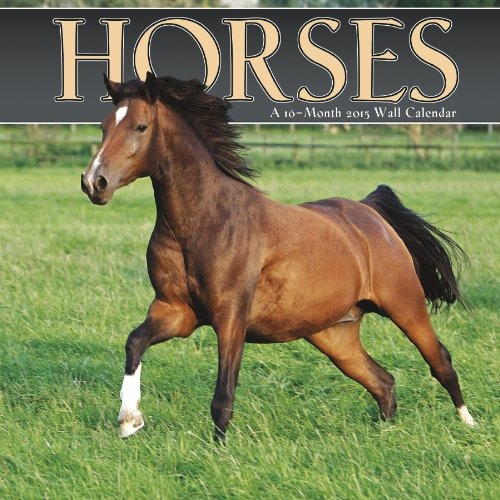 Horses 2015 Wall Calendar