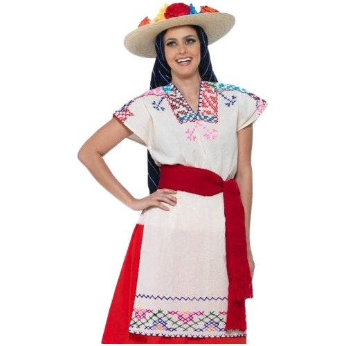 Traje Regional De Michoacan. Michoacana Bordada Niñas Y Dama Con Sombrero.