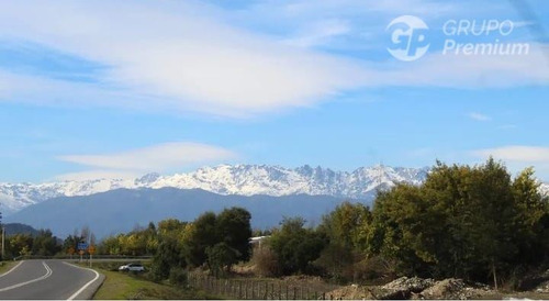 Agrícola En Venta En Linares