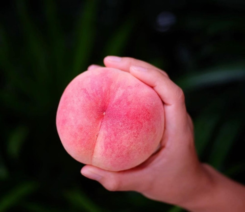 Duraznos De Lujo Exoticos Raro No Es Semilla Arbolitofrutal