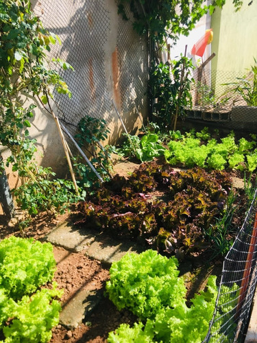 Imagem 21 de 30 de Chácaras À Venda Em Mairiporã/sp - 0195 - 34968539