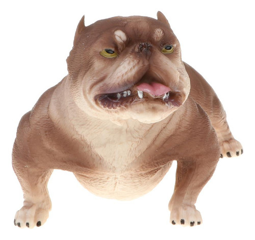 Pitbull Modelo