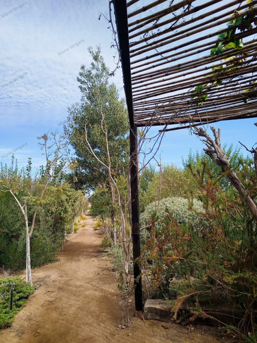 Espectacular Parcela Con Proyecto De Casa - Tongoy