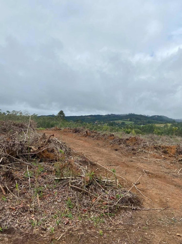 Imagem 13 de 14 de A01- 1500m2 De Terreno Plaino Em Ibiuna!
