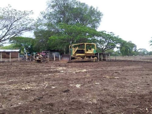 Finca 2.500 Hectáreas En Guárico, Vía El Sombrero