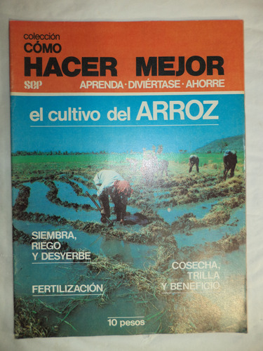 Cómo Hacer Mejor. El Cultivo Del Arroz