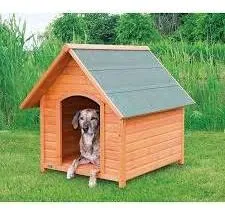 Casa De Perro, Casa De Mascota,