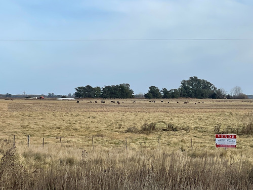 Imagen 11 de 11 de 66 Hectareas En Venta Sobre Ruta 29