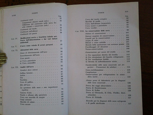 Imagen 5 de 6 de L´uovo Da Consumo - Attilio Tassinari