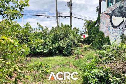 Imagem 11 de 14 de Acrc Imóveis - Terreno Para Venda Na Lagoa Da Conceição Em Florianópolis - Te00679 - 69862936