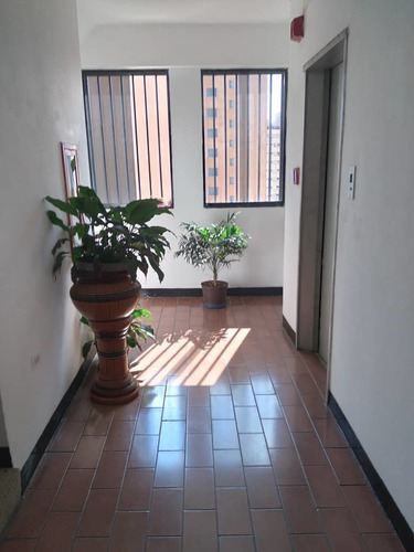 Imagen 7 de 12 de Se Alquila Binito Apartamento