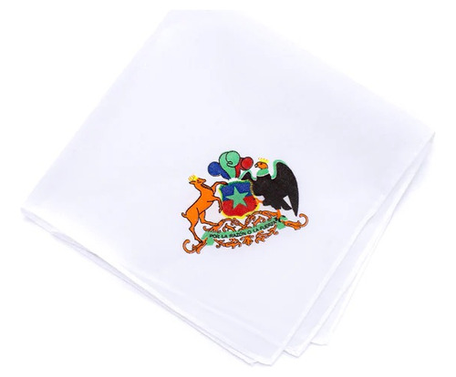 Pack 12 Pañuelos Blancos Bordados Para Cueca-varios Diseños