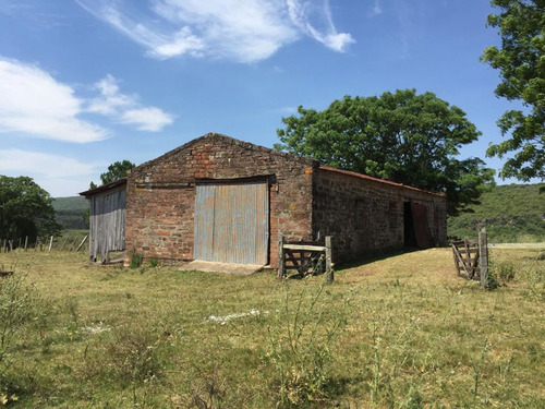 Campo En Venta En Rivera Ref. 7945 (ref: Cbr-1220)