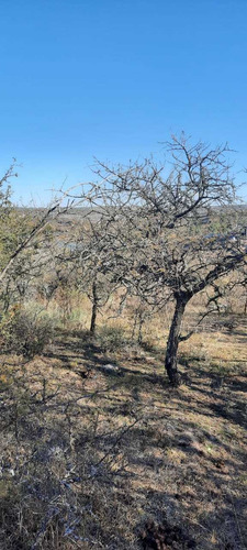 Imagen 8 de 11 de 8 Lotes En Venta En Los Espinillos.potrero De Garay.516