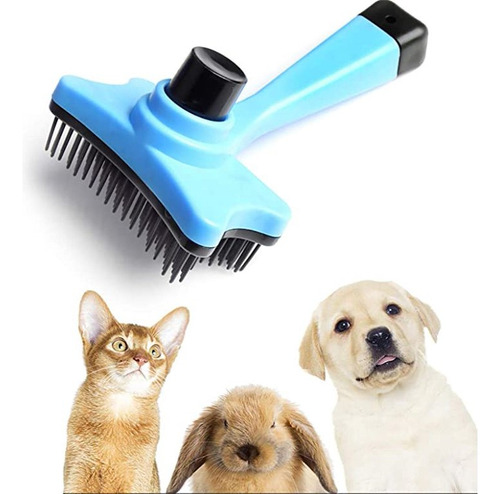 Kit Para Mascotas De Plato Plegable Y Cepillo Quita Pelo 