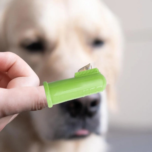 Cepillo De Dientes Para Perros Cepillo De Dientes Para Perro