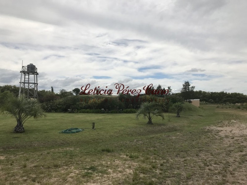 Venta De Chacra Sobre Ruta 9 A 30 Km De Jose Ignacio- Ref: 17546