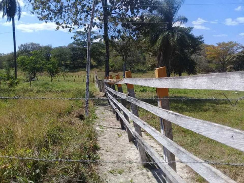 Imagen 20 de 30 de Finca De 440 Has En Cojedes-acarigua. 3 Pozos De Agua, Electricidad.