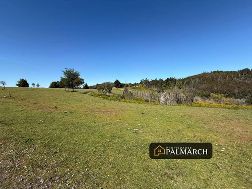 Venta Parcelas Urbanas En  Penco