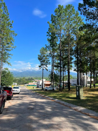 Imagen 12 de 17 de Lote La Reserva
