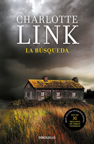 La Busqueda - Link, Charlotte