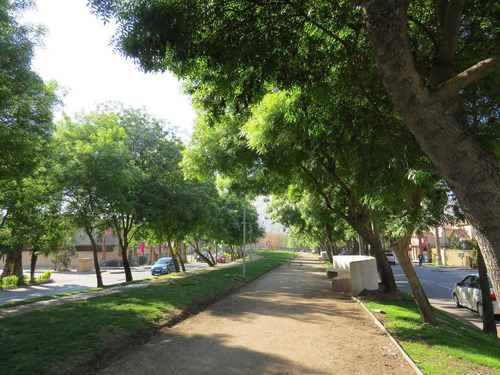 Arriendo Pieza Valle Lo Campino Quilicura (78049)