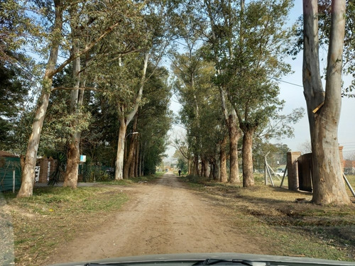 Imagen 1 de 8 de Terreno Con Escritura De 12 X 35. Ruta 3 Km 45