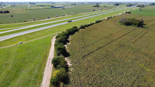 Imagen 10 de 14 de Venta, Campo 10ha Con Frente Sobre Autopista Bs As