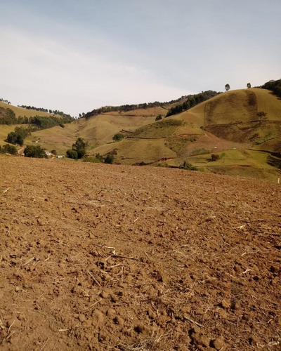 Imagem 7 de 10 de Vendo Chácara Excelente Em Maria Da Fé, Sul De Minas, Clima Da Serra Da Mantiqueira, Mais De 1500 M² Por R$ 65 Mil. - Ch00004 - 34560005