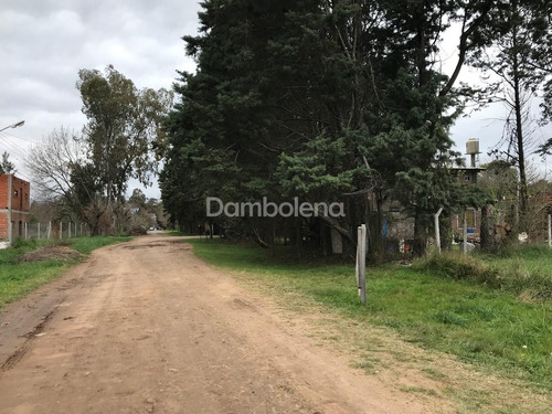 Imagen 7 de 13 de Terreno Lote En Venta O Permuta Ubicado En Barrio Parque Sakura, Exaltación De La Cruz, G.b.a. Zona Norte