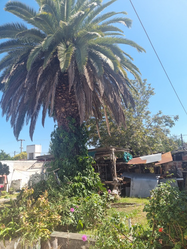 B° Alejandro Centeno Casa 2d Con Importante Terreno