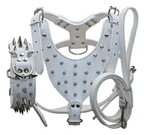 Comprar Haoyueer Juego De 3 Collares, Arneses Y Correas De Cuero Con