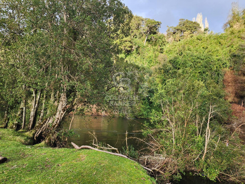 Cabaña Con Bosque Nativo Y Acceso A Río I Puerto Varas