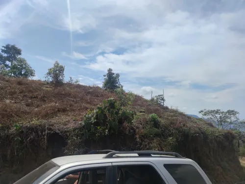 Vendo Finca De 45 Hectares O 71 Cuadras Sembradas En Aguacate Hass En Genova Quindio