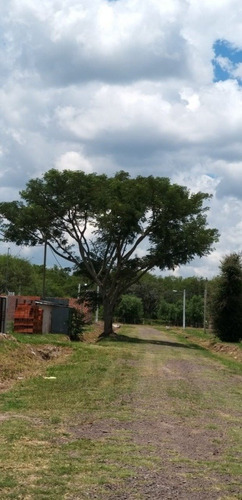 Imagen 8 de 18 de últimos Terrenos En Venta En San Andrés. Colonia Benítez