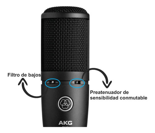 Imagen 4 de 12 de AKG P120 - Negro