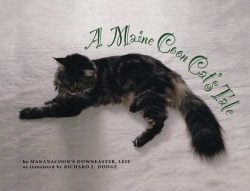 A Maine Coon Cats Tale