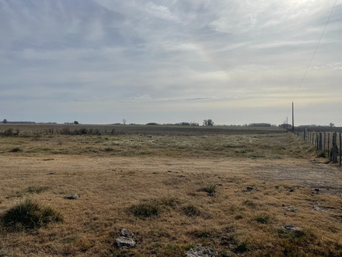 Imagen 7 de 11 de 66 Hectareas En Venta Sobre Ruta 29