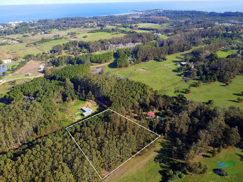 Imagen 11 de 11 de Vendo Terreno De 1 Hectárea Tipo Chacra En Laguna Del Diario, Punta Del Este