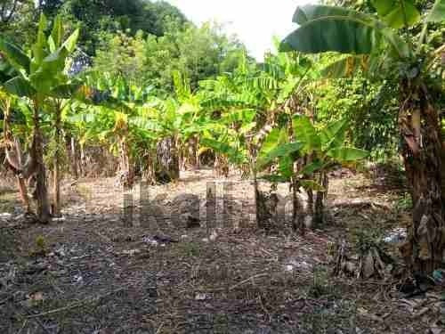 Imagen 8 de 16 de Venta De Terreno 690.51 M² Colonia Gabino Gonzalez Álamo Veracruz. Ubicado En Avenida Principal J.l. Garizurieta Colonia Gabino Gonzalez En El Municipio De Álamo Veracruz, Cuenta Con Una Superficie P