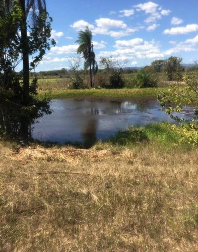 Imagen 2 de 3 de Vende Finca En San Carlos Edo Cojedes 47ha Pda