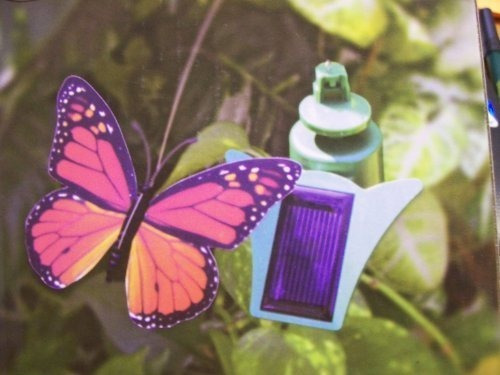 Solar Naranja Mariposa Regalos