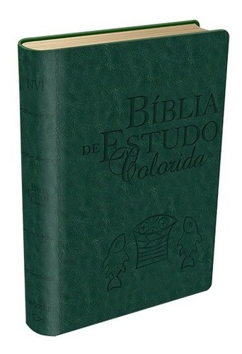 Bíblia De Estudo Colorida Vinho - Nvi Capa Luxo 