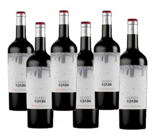 Vino Bodega Mundo Reves Malbec - Caja X 6u X 750ml - Enotek