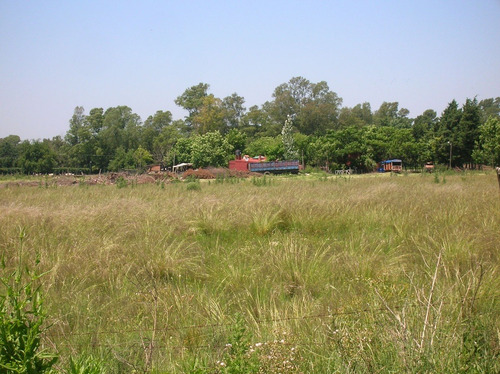 Imagen 6 de 8 de Alquiler Campo Centro Mariano Acosta, Muy Bueno
